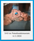 SAS im Naturkundemuseum 6.11.2024