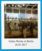 Grüne Woche in Berlin 26.01.2017