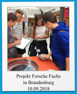 Projekt Forsche Fuchs in Brandenburg 10.09.2018