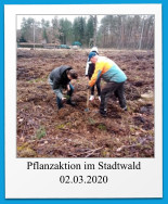 Pflanzaktion im Stadtwald 02.03.2020